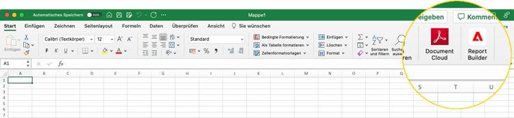 Das Report Builder-Symbol in Excel