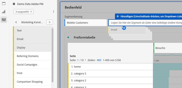 Das Fenster „Bedienfelder“ mit dem Feld „Mobilkundensegment“ ist verfügbar, um einen statischen Dropdown-Filter abzulegen.