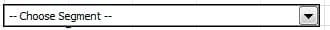 Screenshot, der das Dropdown-Feld Segment auswählen zeigt.