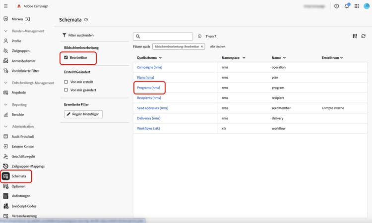Screenshot zur Bearbeitung benutzerdefinierter Details für ein Programm