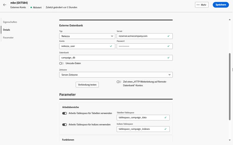 Screenshot mit den Feldern zur Konfiguration des externen Kontos „Netezza“.