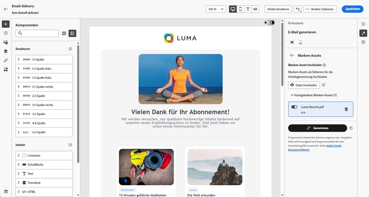 Screenshot der Optionen für Markeneinstellungen in Adobe Campaign Web