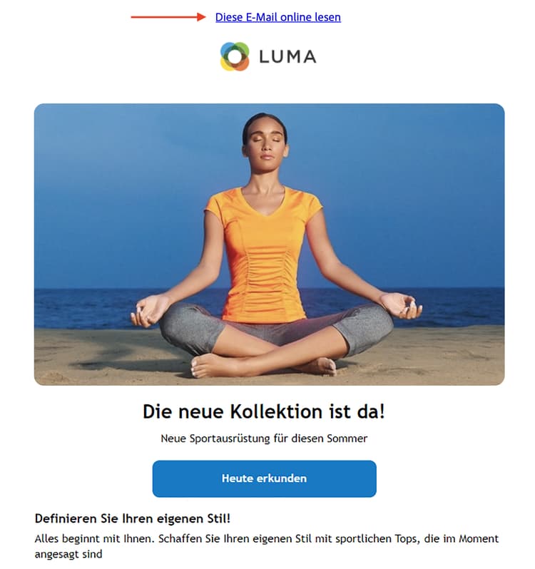 Beispiel für einen Mirrorlink