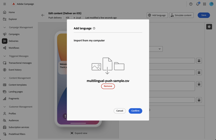 Screenshot mit erfolgreicher CSV-Validierung mit allen importierten Sprachen