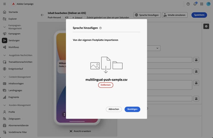 Screenshot einer erfolgreichen CSV-Validierung mit allen importierten Sprachen