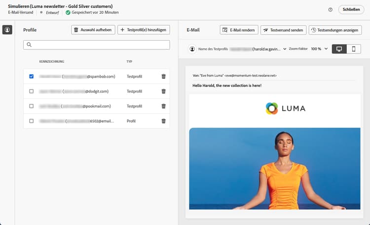 Screenshot mit der E-Mail-Vorschau basierend auf ausgewählten Profilen