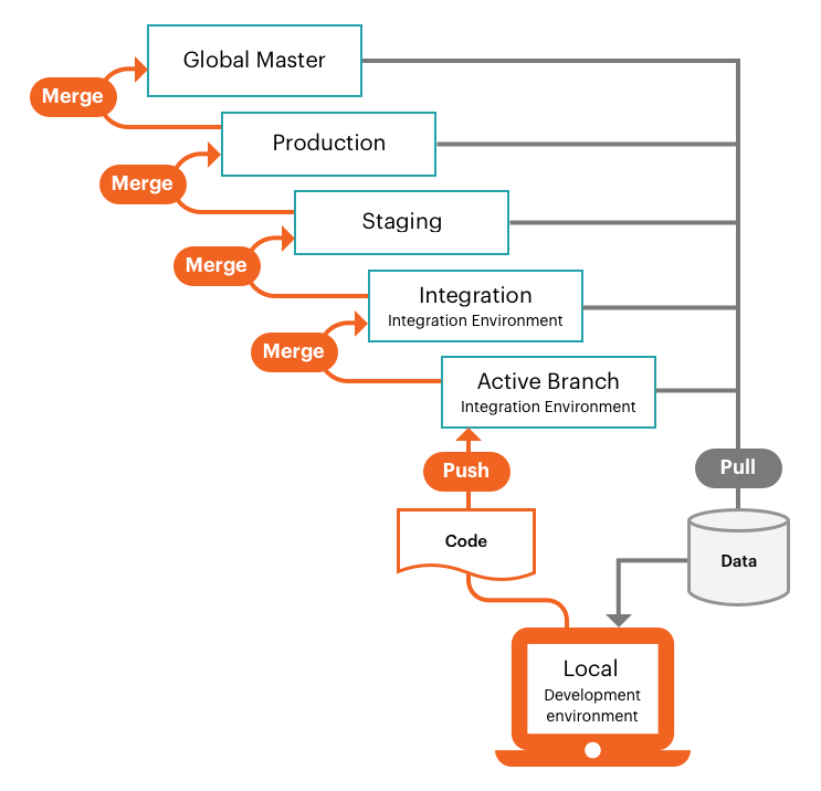 Allgemeine Ansicht des Entwicklungs-Workflows der Pro-Architektur