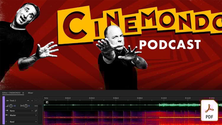 Mit dem Bereichsreparatur-Pinsel in Adobe Audition unerwünschte Audioinhalte schnell entfernen