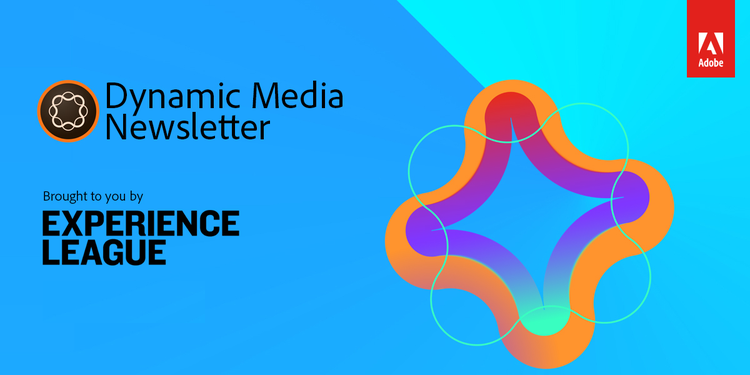 Logo des Dynamic Media Newsletters