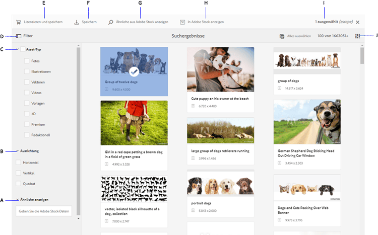 Suchen nach Adobe Stock-Assets und Filtern von Ergebnissen aus Ihrem Adobe Experience Manager Workspace