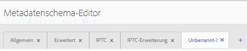 Hinzufügen oder Löschen von Registerkarten mithilfe des Metadatenschema-Editors