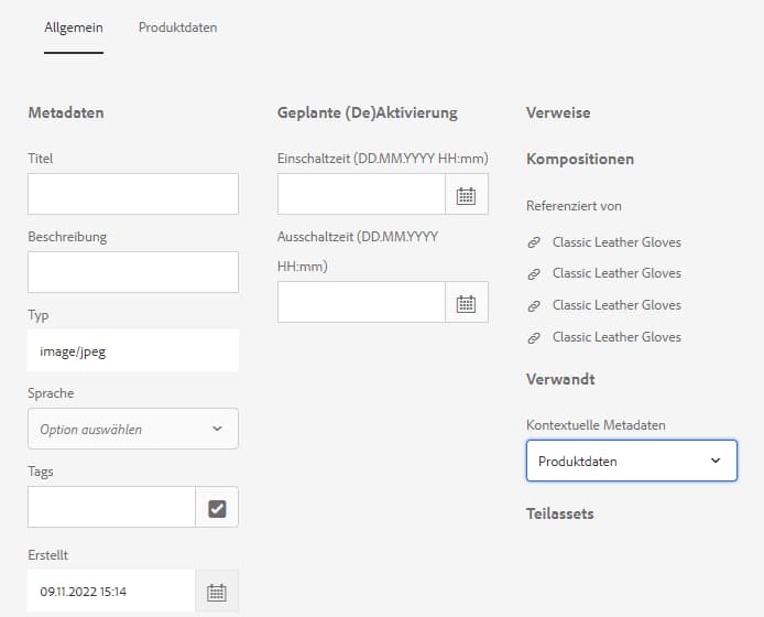 Die in der Liste der kontextbezogenen Metadaten ausgewählte Registerkarte wird auf der Seite mit den Asset-Eigenschaften angezeigt