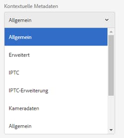 Registerkarten für die Auflistung von kontextbezogenen Metadaten-Komponenten von Asset-Eigenschaften
