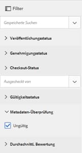 In der Eigenschaft „Metadatenvalidierung“ des Bedienfelds „Filter“ ausgewählte Option