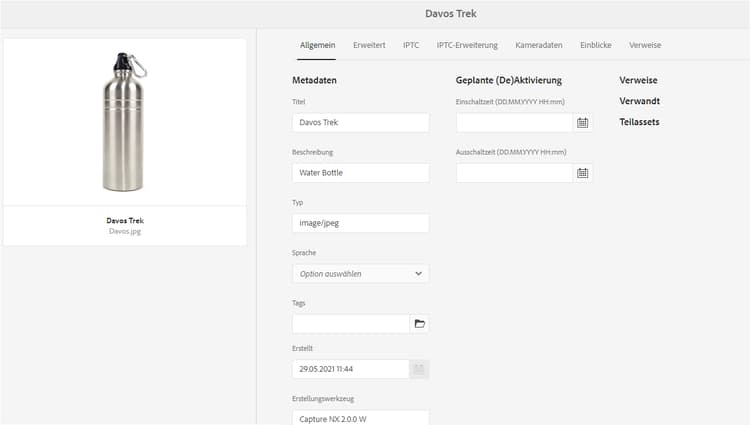 Registerkarte „Standard“ der Asset-Eigenschaften, auf der der Asset-Typ nicht geändert werden kann