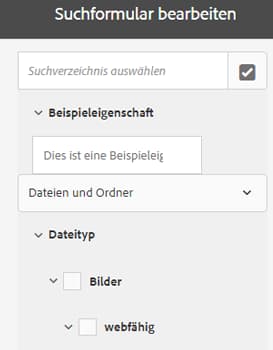 Anzeigen einer Vorschau des Suchformulars vor dem Übermitteln der Änderungen