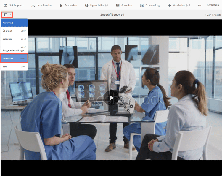 Dropdown-Liste mit der Viewer-Option