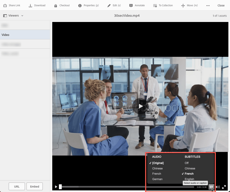 Popup-Liste für Audio und Untertitel im Video-Viewer.