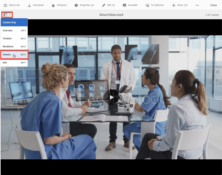 Dropdown-Liste mit der Viewer-Option