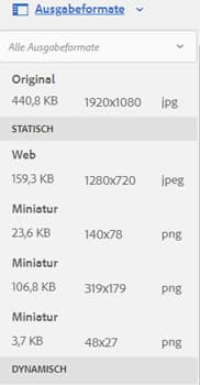 Bedienfeld „Ausgabedarstellungen“ auf der Seite „Asset-Details“