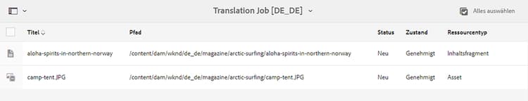 Übersetzungsauftrag genehmigt