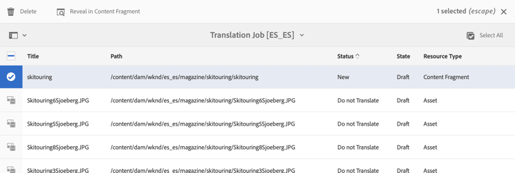 Optionen für Übersetzungsaufträge