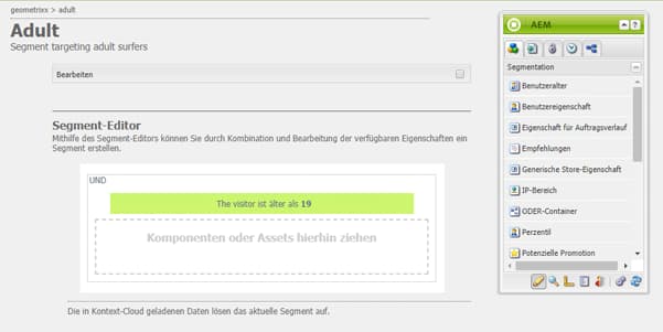Fenster „Segment-Editor“