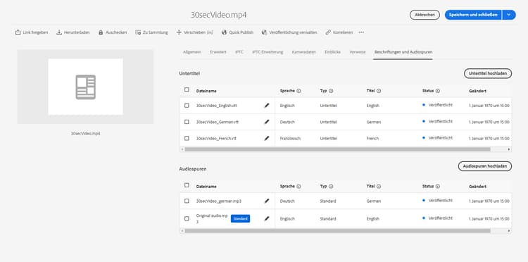 Registerkarte „Beschriftungen und Audiospuren“ in Dynamic Media zusammen mit einer Tabelle der hochgeladenen -Untertiteldateien und der hochgeladenen .MP3-Audiospurdateien für ein Video