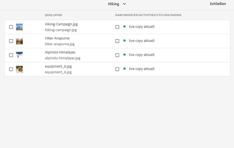 Anzeigen der Status von Live Copies in der Live Copy-Konsole der Quelle