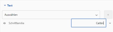 Eingeben und Auswahl der Schrift im Designeditor