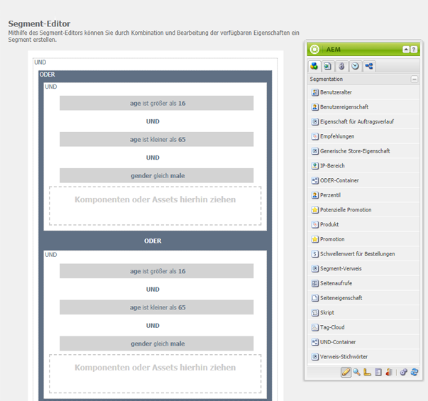 Beispiel für die UND- und ODER-Operatoren im Segment-Editor