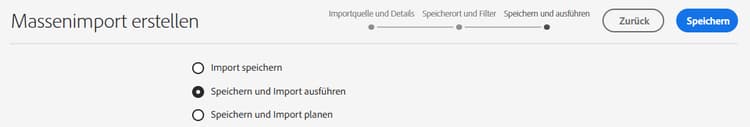 Massenimport ausführen