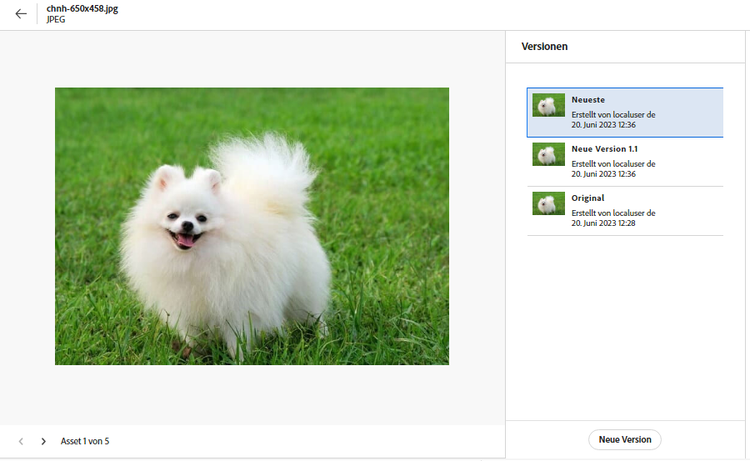 Option zum Hochladen einer neuen Version eines Assets aus dem Versionsverlauf