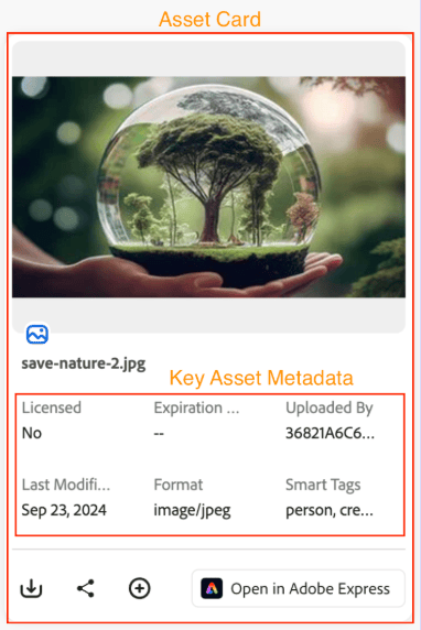 Schlüssel-Metadaten auf der Asset-Karte