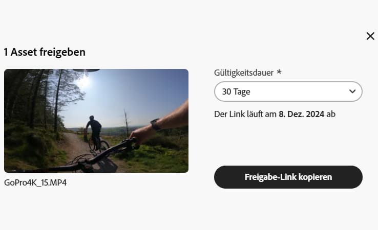 Freigeben eines einzelnen Assets