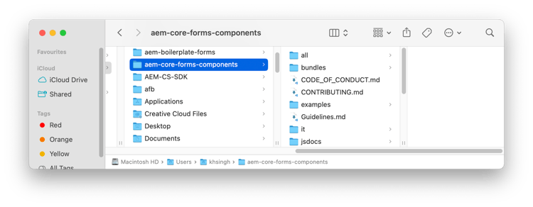 Repository-Verzeichnis für adaptive Formular-Kernkomponenten auf einem lokalen Computer