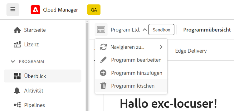 Option „Programm löschen“