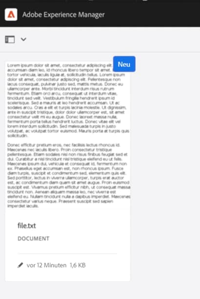 Eine Ausgabedarstellung einer TXT-Datei wird von Assets automatisch im PNG-Format erzeugt