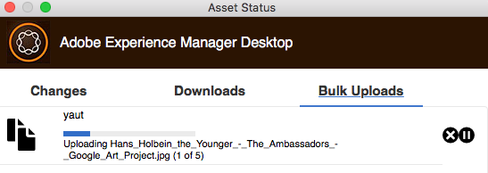 Status des Uploads im Fenster „Assets Status“ anzeigen