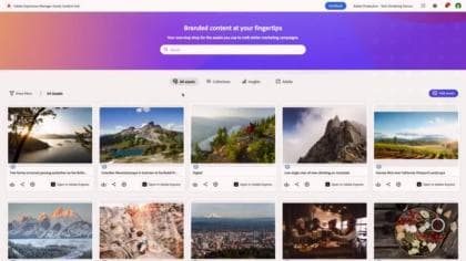 Hinzufügen von Assets