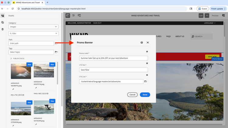Author the Promo Banner component