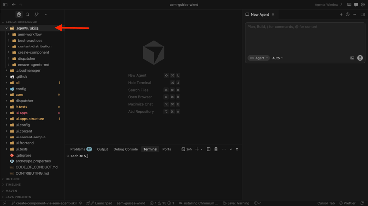 Überprüfen Sie, ob AEM Agent Skills installiert sind