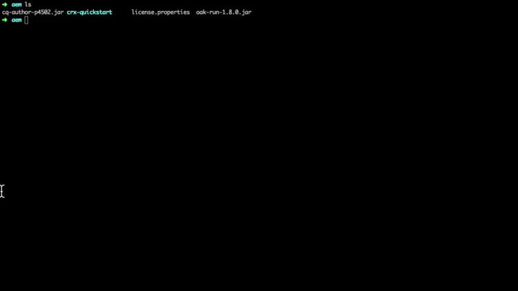 video poster