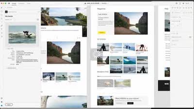 Asset Link