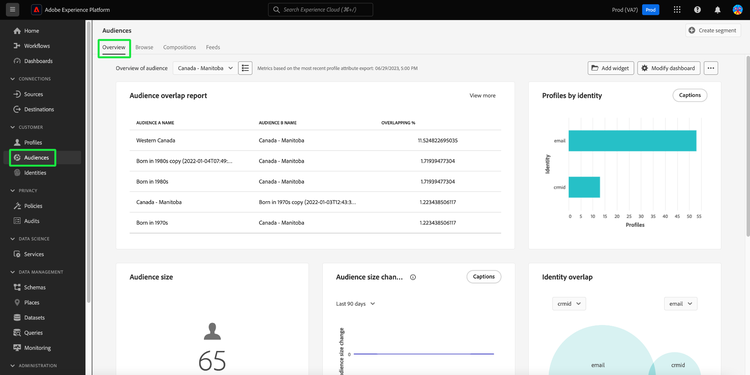 Die Zielgruppen Dashboard Übersicht Registerkarte mit Zielgruppen und Übersicht hervorgehoben.