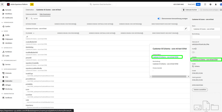 Die Registerkarte „Data Governance“ im Arbeitsbereich „Datensätze“ mit dem hervorgehobenem Schemanamen in der Seitenleiste und Dialogfeld-Link.