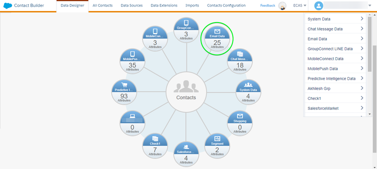 Data Designer der Salesforce Marketing Cloud-Benutzeroberfläche.