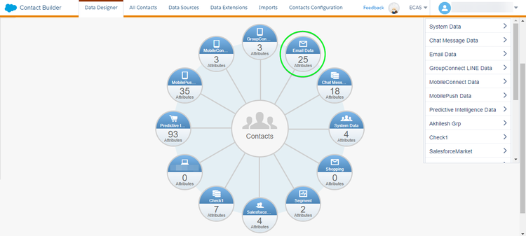 Salesforce Marketing Cloud UI data designer.