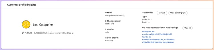 Der Abschnitt „Kundenprofil-Insights“ wird angezeigt.