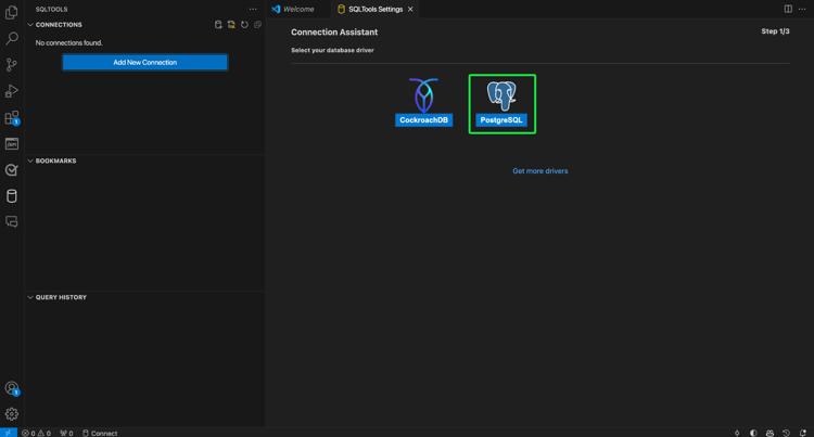 Die SQLTools-Einstellungsseite in VS Code mit hervorgehobener Option „PostgreSQl“.